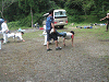 camp22 (250)_samu.gif